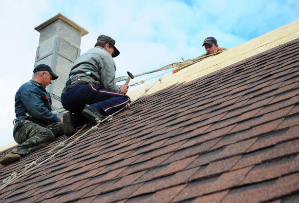 Best Gutter Installation and Roofing  in West Crossett, AR